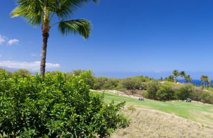 ❤PiH❤ Mauna Kea SunsetsOcean and Golf ViewsOptional Mauna Kea Hotel Privileges - Foto 11