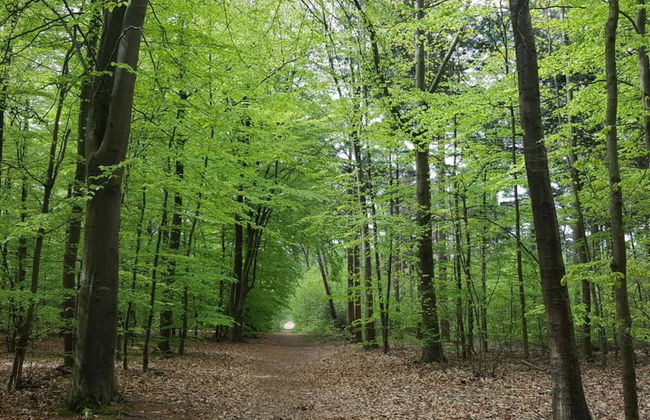 High Geest 4 - Including Many Extras - Foto 23