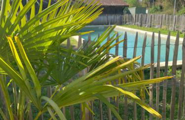 Maison de Campagne avec Piscine - Foto 7