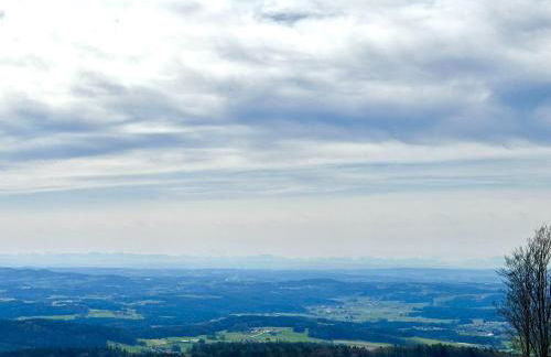 Gemütliches Alpenblick BERG-Bungalow + großer GARTEN + NETFLIX! - Foto 74
