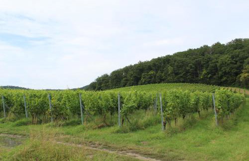 Ferienwohnung Forellenhof - Foto 26