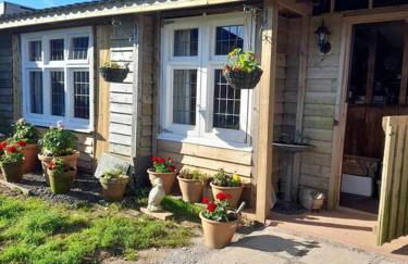 Puddle Duck Peeps Out Chalet - Foto 6