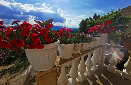 Athena Casa Vacanze - Foto 34