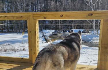 MapleVilla - Foto 16