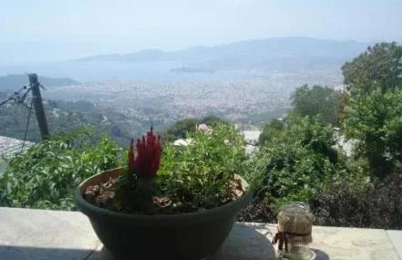 Traditional House Makrinitsa - Foto 38