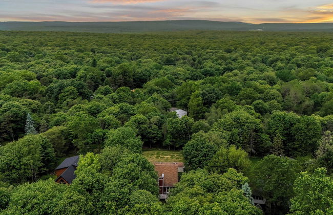 Hidden Bear by Avantstay A+ Central Location - Foto 31