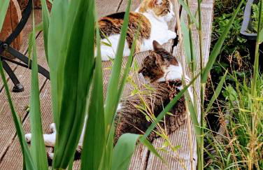 Ferienwohnungen Willrich - Foto 64