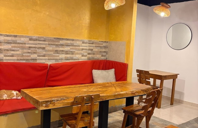 Coffee House Minca - Photo 47