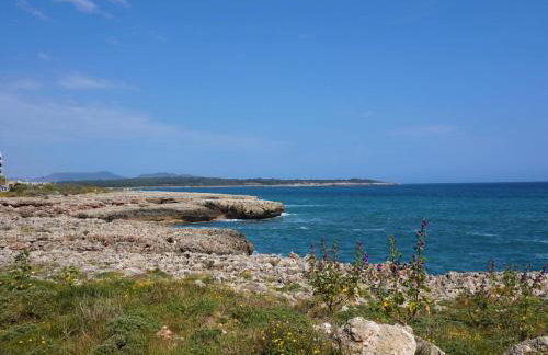 Cas Bufador - Foto 25