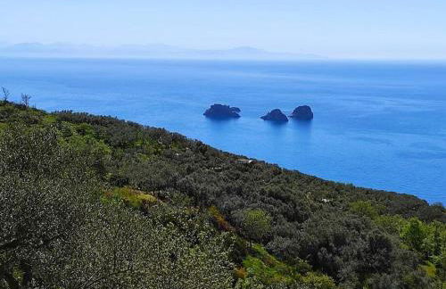 Domus Smeraldo Terrace and sea View Amalfi Coast - Foto 58