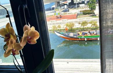 Flamingo Apartment - Foto 3