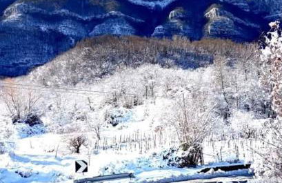 Sapori e Sapere di Troisi Margherita - Foto 20