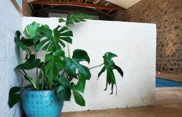 L'Escale du Bocage Piscine couverte chauffée - Photo 27