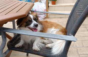 Seaside Apartment 2 - Photo 59