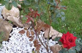 La casetta di samba - Foto 6