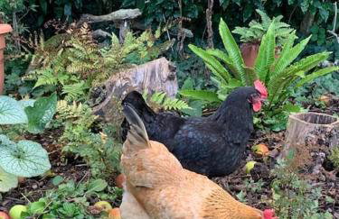 The Snuggery Broadclyst - Foto 20