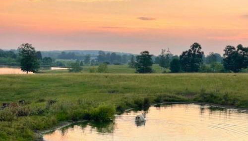 Americana Farm Getaway - Foto 5