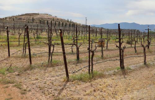 The Scholars Casita - Foto 40