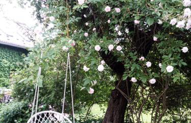 Dom Geologa - Foto 56