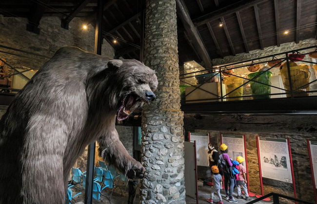 Casa Vacanze La Casala - Foto 26