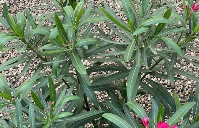 Loft Unico, Nuevo Y CON Aire Acondicionado - Foto 19