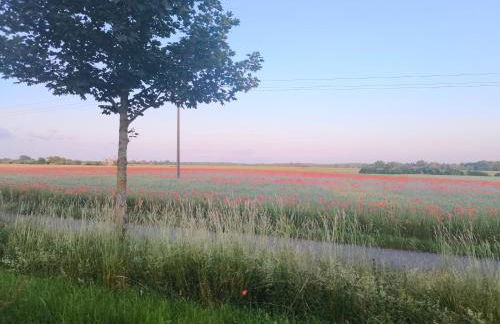 FEWO RENKEN - Foto 47