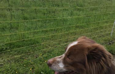 Ferienwohnung Deichapfel im Alten Land (Jork) - Foto 12