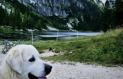 Casetta del Caregon a Vinigo - Photo 25