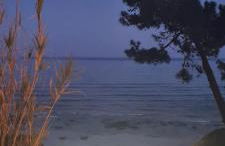 Vista das Ondas - Foto 28