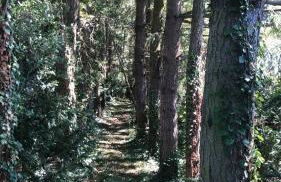 Modern Gîte In The Heart Of Château De Champagnat - Foto 24