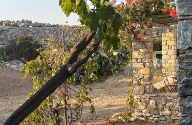 Messaria - Schinoussa - Foto 10