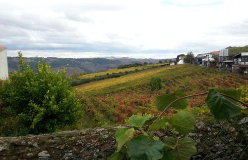 O Ze Ja Dormiu Aqui - Foto 57