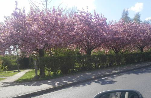 Familie Drescher - Foto 13