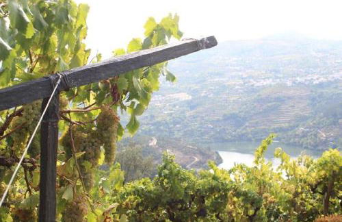 Quinta da Portinha, stunning views of the Douro River - Foto 22