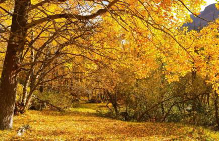 Happy Moose - Cosy Mont Blanc View apartment with sauna - Photo 41