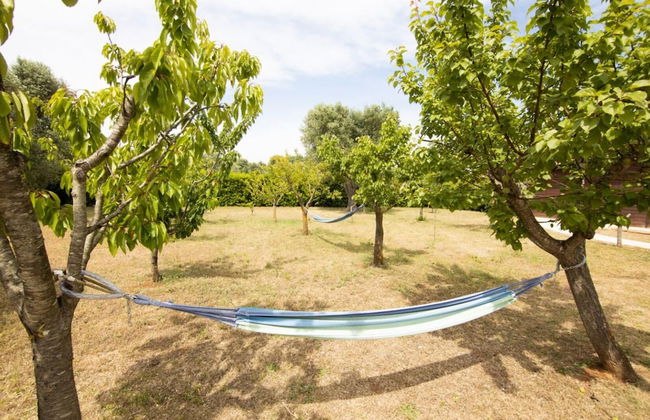 Trullo Degli Ulivi con Piscina e Idromassaggio - Foto 17