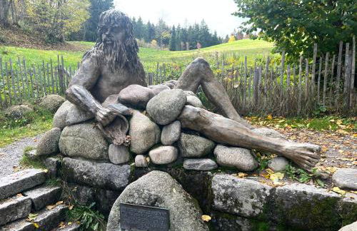 Apartment Schwarzwald-Anni Pool Tennis Sauna - Foto 46