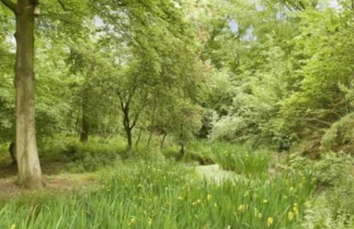 NEW - Beautiful, spacious Beechwood Lodge with lovely gardens - Photo 11