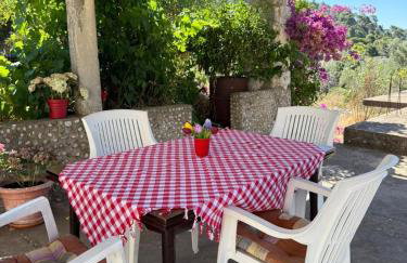 Apartman Desa Babino zlato - Photo 1