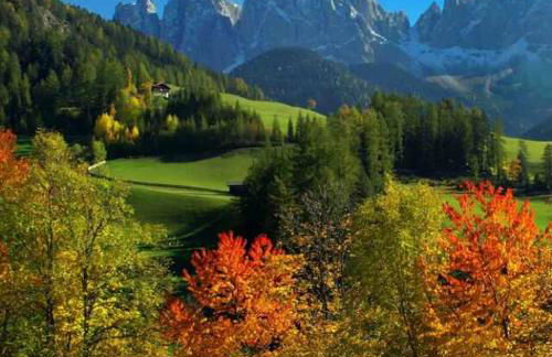 Jaiterhof - Photo 58