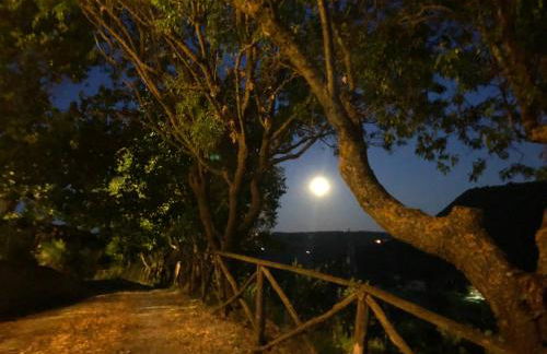 Agriturismo Beata Vanna - Foto 38