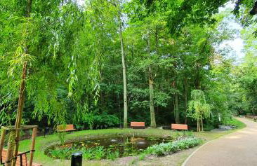 Dom w mieście Reszel - Foto 26