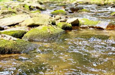Modernes Familien Tiny House - Natur & Sternenhimmel inklusive! - Foto 37
