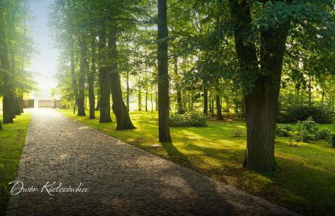 Dwór w Kiełczówce - Foto 28