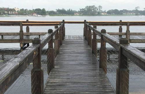 Disney Backyard Oasis - Foto 7