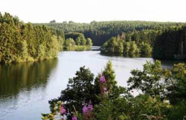 Spacious Holiday Home in Ovifat With Terrace - Foto 36