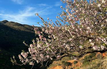 Cortijo Vacas Gordas Villas - Foto 48