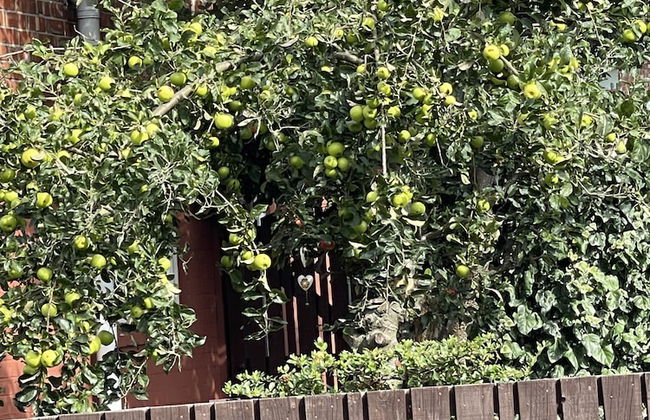 Private Studio Flat Great Location in Manchester - Foto 28