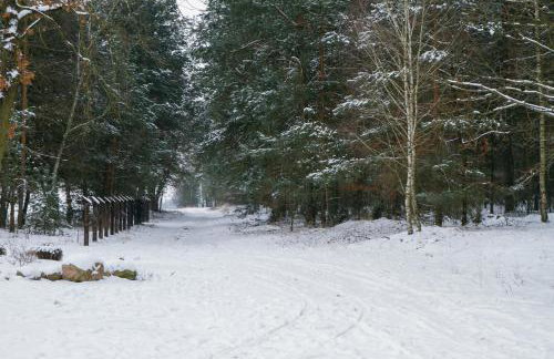 Kolorowe Wzgórze agroturystyka i konie - Foto 9