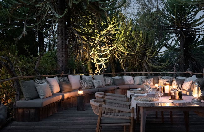 Euphorbia Mashatu - Foto 35